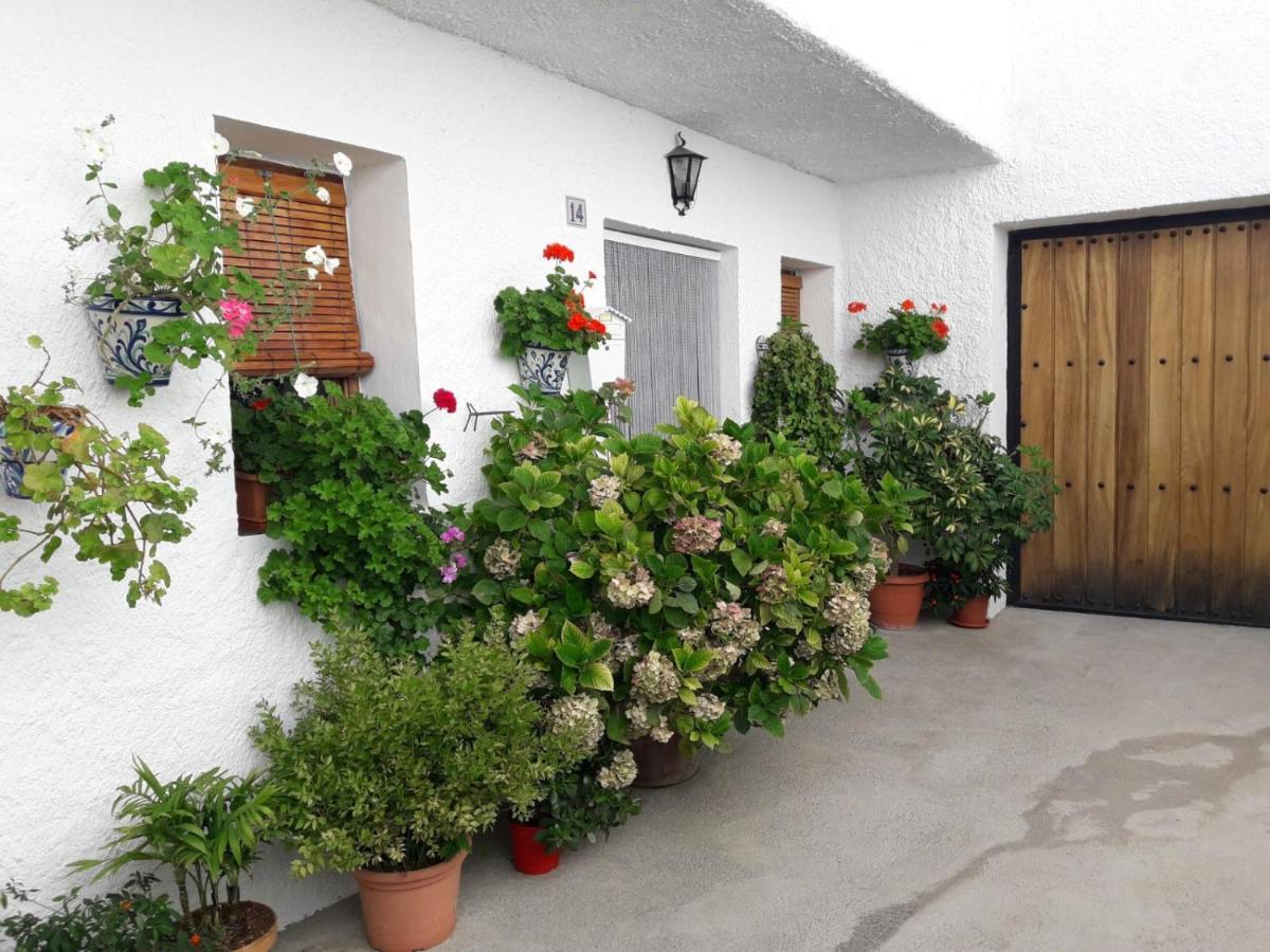 Apartmán Casa La Huerta Bubión Exteriér fotografie